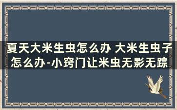 夏天大米生虫怎么办 大米生虫子怎么办-小窍门让米虫无影无踪 图